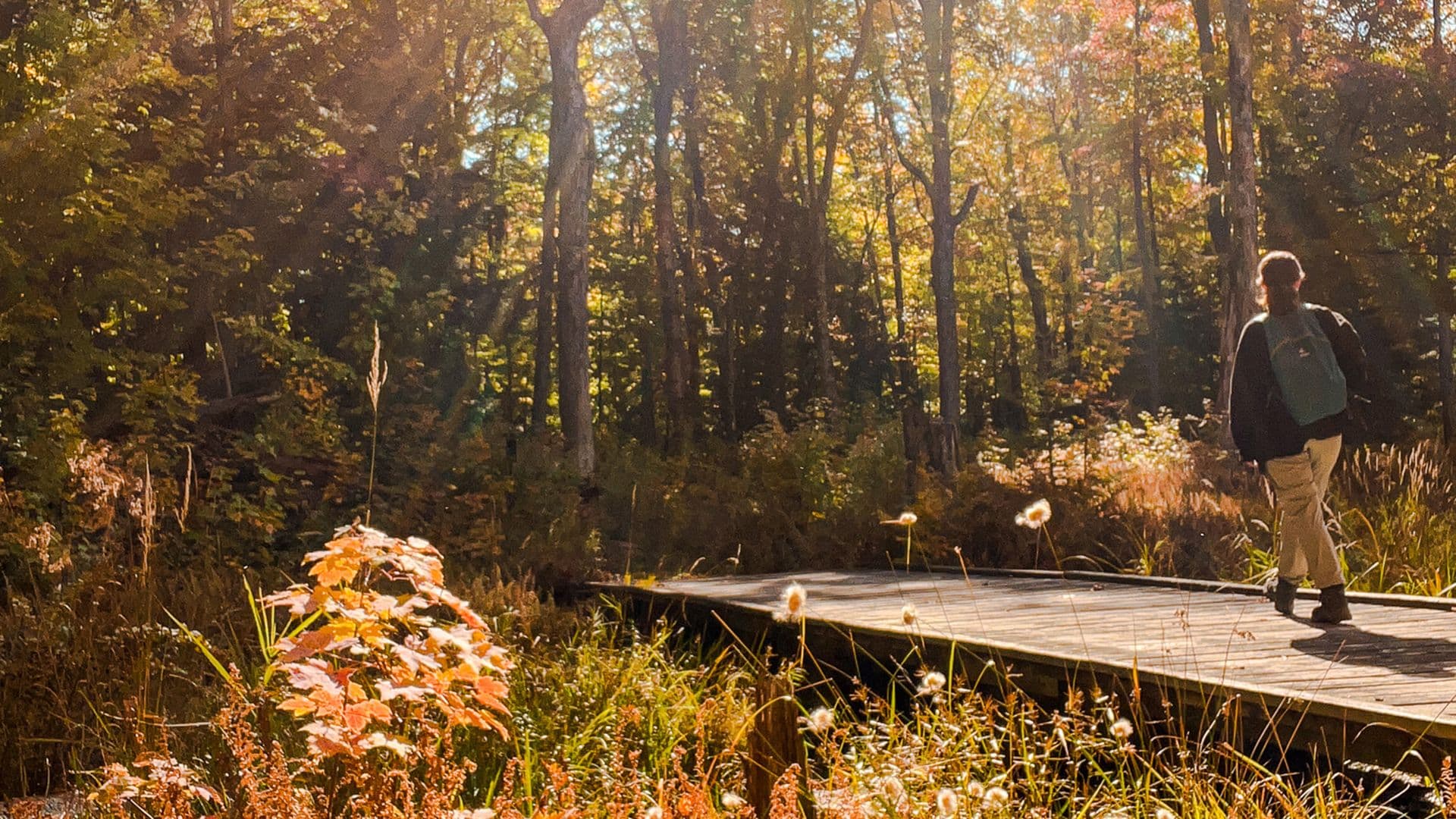 10 Trails Worth the Drive From Taboo Muskoka 
