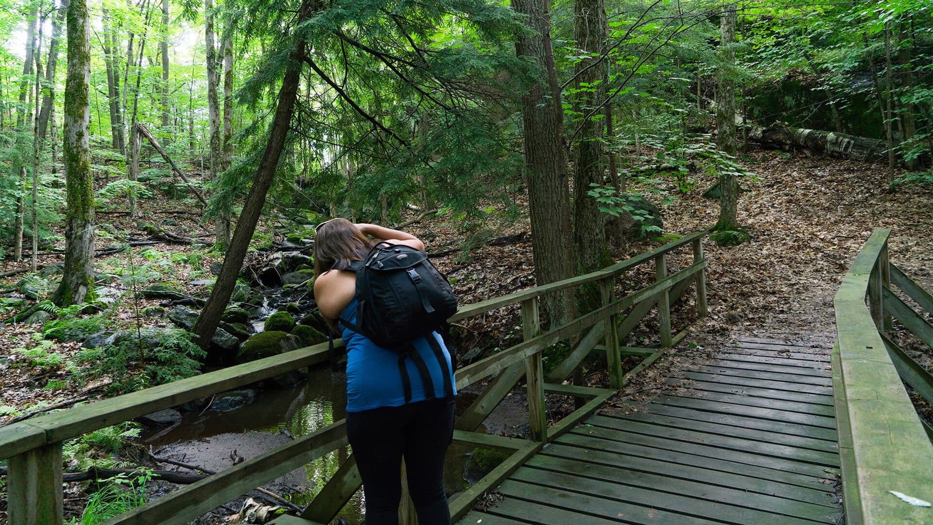 The Best Things to Do in Muskoka: A Complete Guide